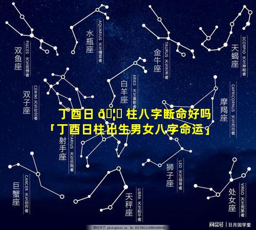 丁酉日 🦟 柱八字断命好吗「丁酉日柱出生男女八字命运」